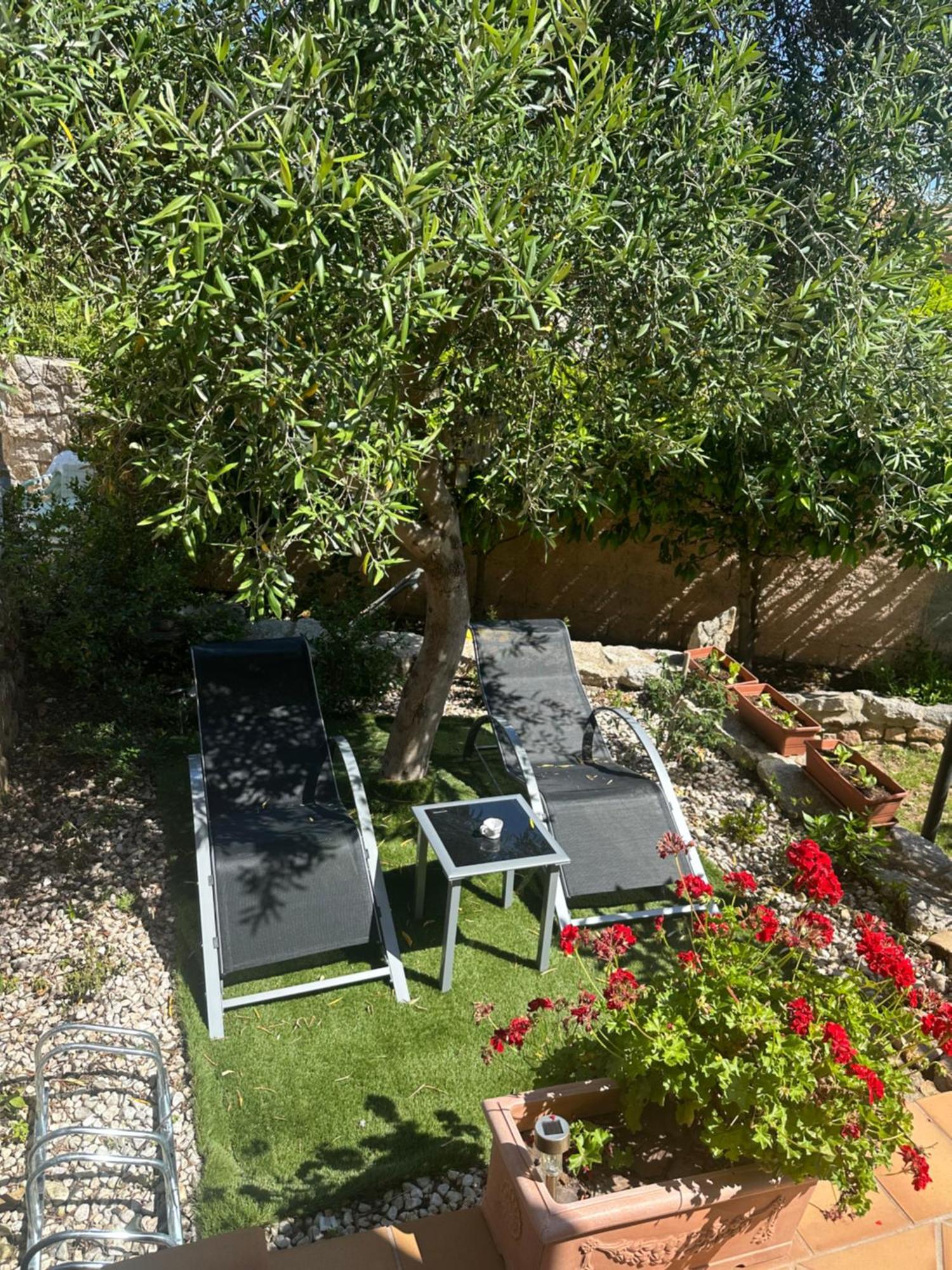 Villa Le Bougainvillea La Maddalena  Exterior foto